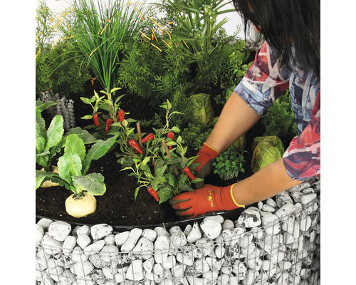 Persoon beplant een verhoogde tuinbak met groenten en kruiden.