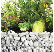 Gabionen plantenbak met groenten en planten