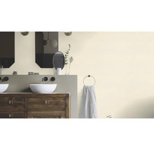 Badkamer met wastafels, spiegels en handdoekhouder