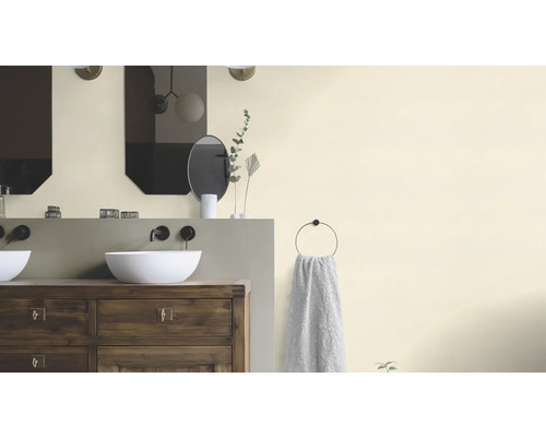 Badkamer met wastafels, spiegels en handdoekhouder