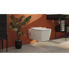 Moderne badkamer met wandcloset, plant en wastafel