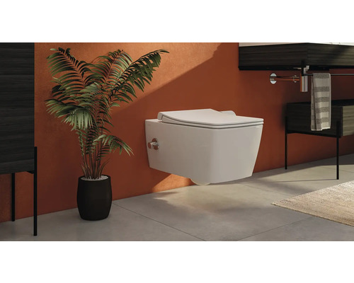 Moderne badkamer met wandcloset, plant en wastafel