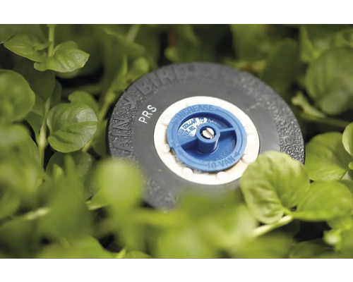 VRAIN Bird drukregulerende sproeikop in het gras