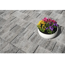 Betontegels met bloemen in een pot