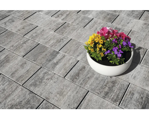 Betontegels met bloemen in een pot