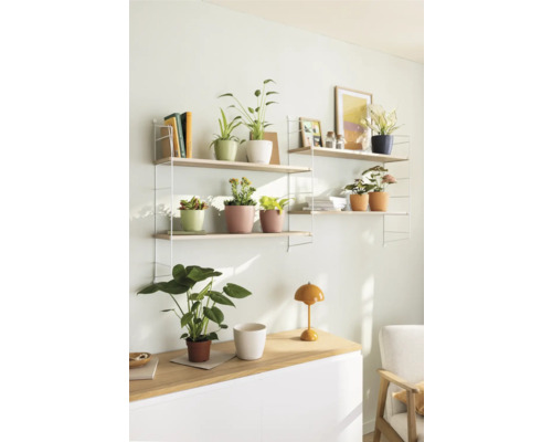 Woonkamer met rekken, planten en tafellamp