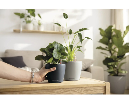 Twee Lechuza bloempotten met planten op een tafel in een lichte kamer.