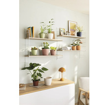 Woonkamer met wandplank, kamerplanten en tafellamp