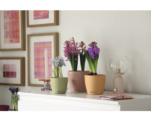 Decoratieve scène met hyacinten in plantenbakken op een dressoir