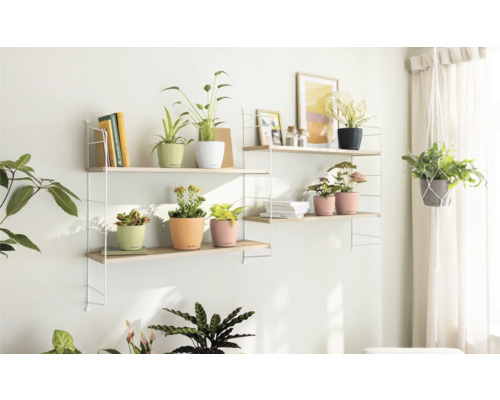 Wandrek met planten in potten en decoratieve items aan een muur
