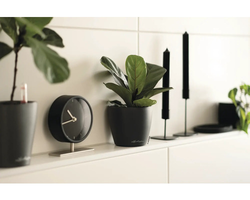 Decoratieve interieurscène met planten, een klok en kaarsen