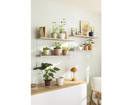 Woonkamer met planken, planten en decoraties voor een lichte en georganiseerde sfeer.