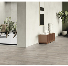 Interieur met vloertegels in houtlook, dressoir, kamerplant en decoratie