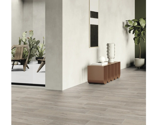 Interieur met vloertegels in houtlook, dressoir, kamerplant en decoratie