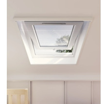 Open dakraam met insectenhor in een lichte kamer.