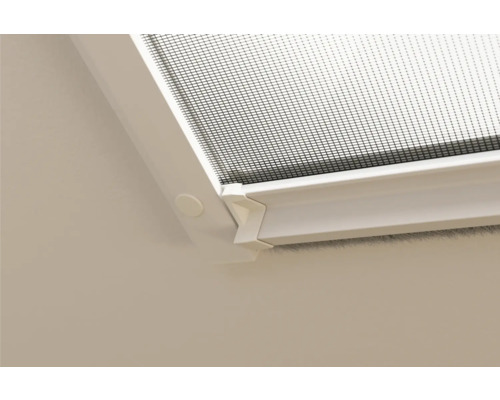 Detailopname van een insectenhor op een raamkozijn