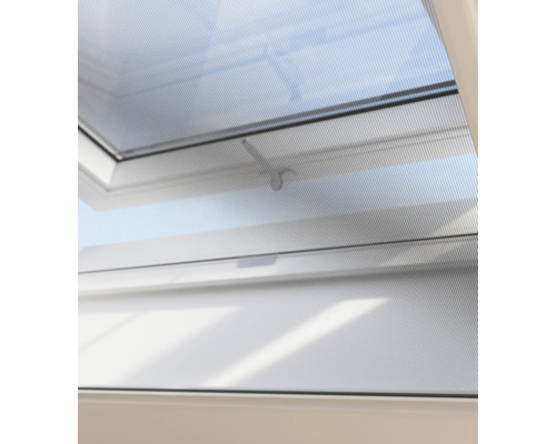 Dakvenster met insectenhor