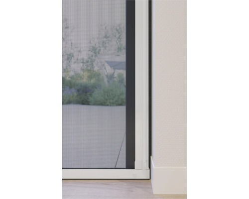 Close-up van een insectenhor op een raam