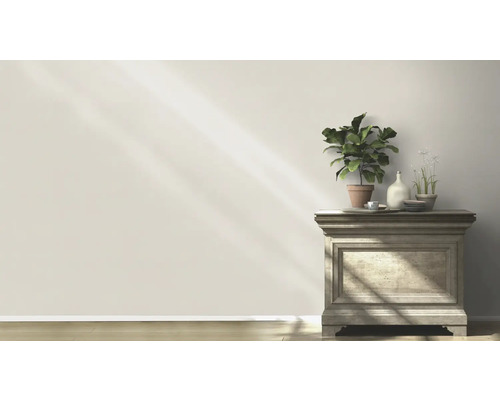 Lichte kamer met plant en decoratie op een houten kast