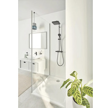 Badkamer met douche, wastafel, spiegel en plant