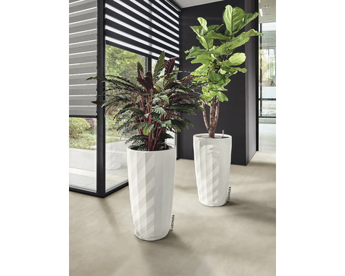 Twee kamerplanten in witte plantenbakken binnenshuis