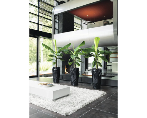 Lichte, ruime woonkamer met drie bananenplanten in zwarte plantenbakken.