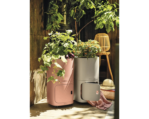 Twee plantenbakken met groenten op een terras.