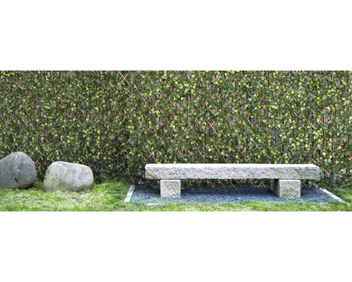 Scene met kunsthaag, stenen bank en twee stenen in de tuin