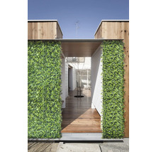 Decoratieve groene plantenwand bij een woningentree met houten vloer