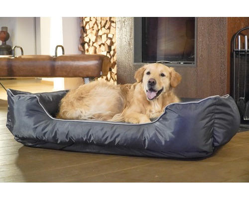 Hond ligt in een grijs hondenbed