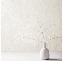 Decoratieve kamerplant varen in vaas