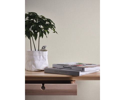 Close-up van een houten bureau met plant en boeken