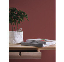 Decoratieve scène met plant in papieren zak, stapel boeken en houten commode.