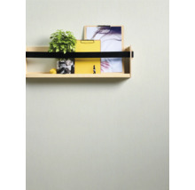 Wandplank met plant, citroen, klemborden en afbeeldingen