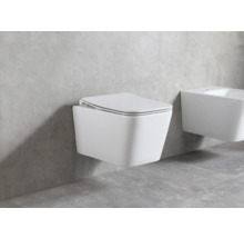 Wandcloset met deksel en bidet in badkamer