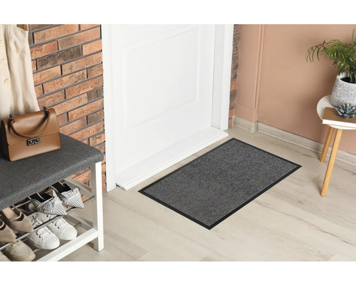 Scene met deurmat voor een deur, schoenenrek en decoratieve objecten.