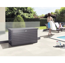 BIOHORT Opbergbox 130 staal antraciet 460 L, 134x62x71 cm