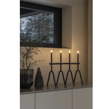 Decoratief arrangement met een zwarte lamp met vier lichten, een kleine spar en een decoratieve tak in een interieur.