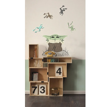 Houten rek met decoratiespullen en muurstickers met kikkerpatronen