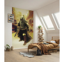 Slaapkamer met Star Wars muurschildering, bed en houten rek
