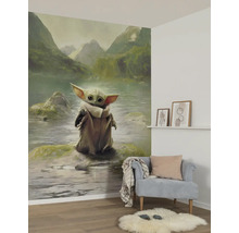 Woonkamer met een fotobehang met het motief van het personage Grogu voor een berglandschap