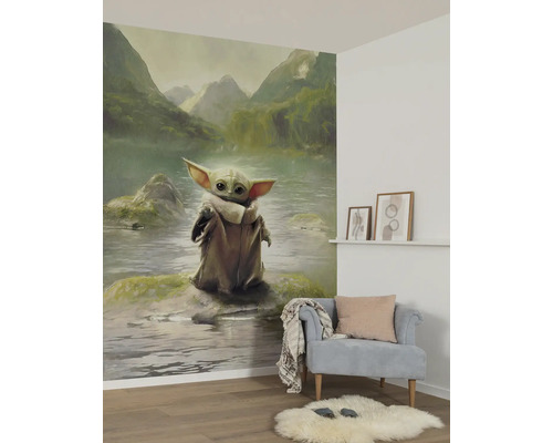 Woonkamer met een fotobehang met het motief van het personage Grogu voor een berglandschap