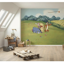 Kamer met fotobehang met Winnie de Poeh en zijn vrienden op een groene weide