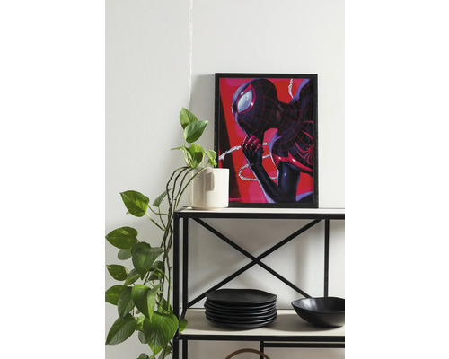Decoratieve Spider-Man poster in lijst op een plank met servies en een kamerplant