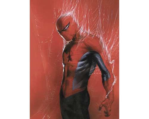 Illustratie van Spider-Man tegen een rode achtergrond, omgeven door spinnenwebben