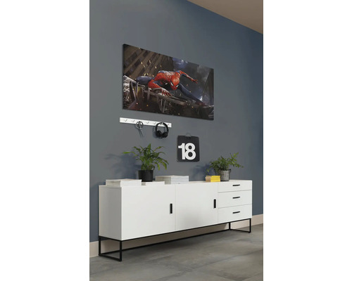 Woonkamerscène met een dressoir, een muurschildering, een wandrek en decoratieve elementen.