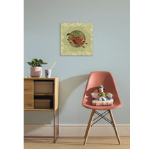 Decoratie met een afbeelding van een wrattenzwijn aan de muur