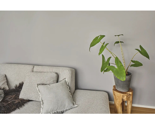 Woonkamer met grijze bank, kussens en kamerplant op een houten kruk.