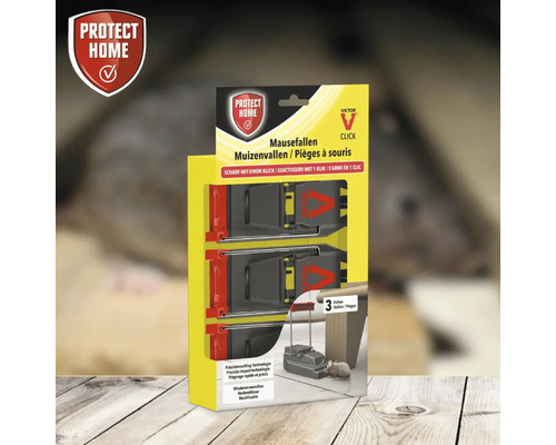 Verpakking van drie muizenvallen