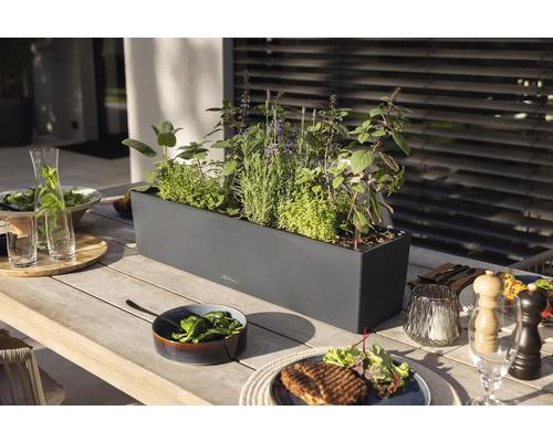 Eettafel met kruiden in een plantenbak en etenswaren
